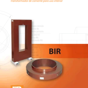 BIR
