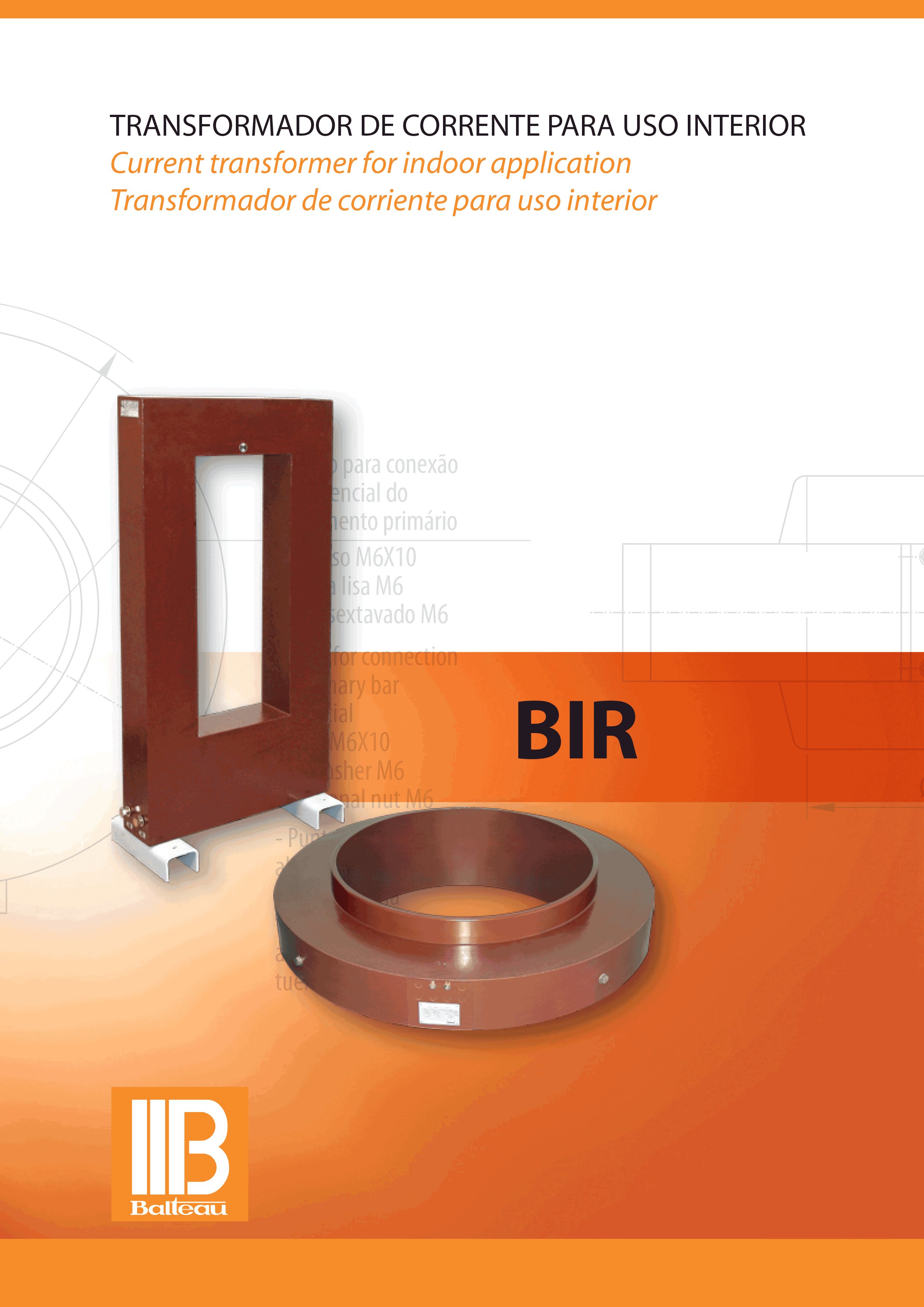 BIR
